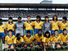 Copa do Mundo Feminina no Brasil terá lei específica e prêmio para pioneiras da Seleção; entenda
