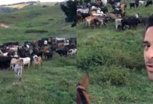 Ex-artilheiro da Seleção Brasileira investe em fazenda de gado usada pela família como refúgio